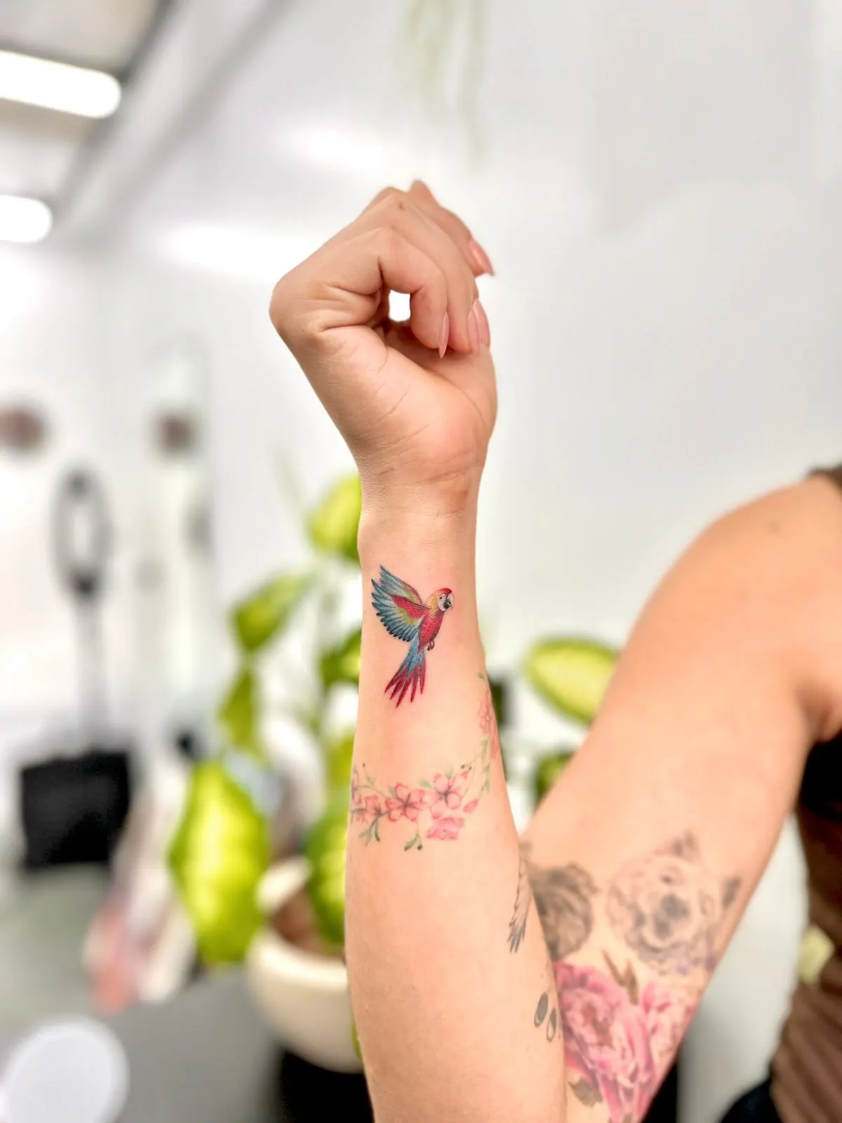 Arara — depois da transformação por Bianca Kato